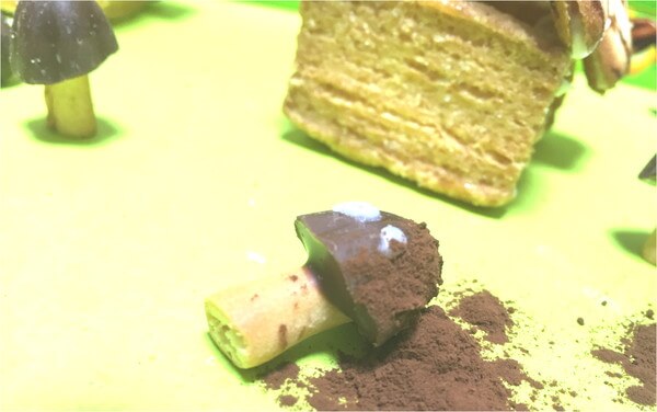 f:id:eternalcollegest:20170320034804j:plain f:id:eternalcollegest:20170320034804j:plain