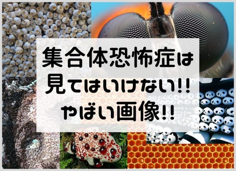 トライポフォビアの原因は何ですか?