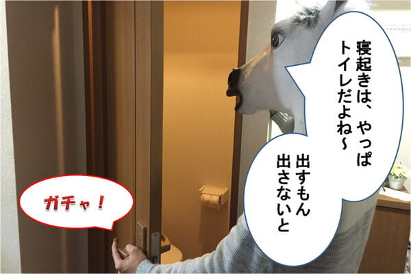 f:id:eternalcollegest:20170122220559j:plain