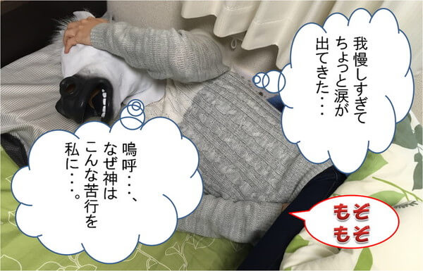 f:id:eternalcollegest:20170122222603j:plain