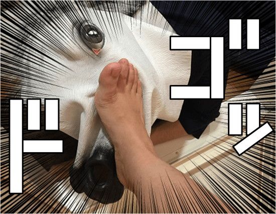 f:id:eternalcollegest:20170202222746j:plain