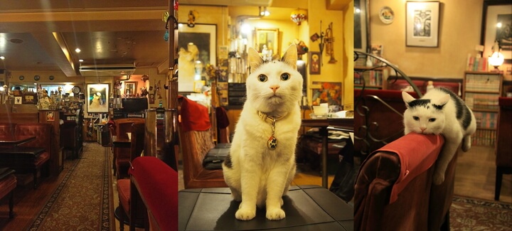 f:id:eternalcollegest:20170515182512j:plain