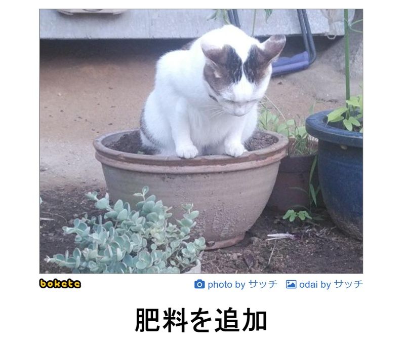 f:id:eternalcollegest:20190906201143j:plain