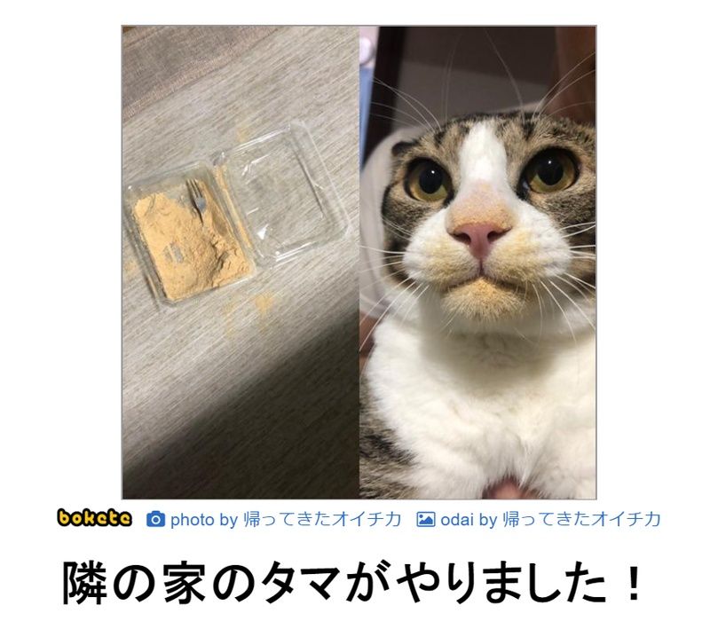 f:id:eternalcollegest:20190906201216j:plain