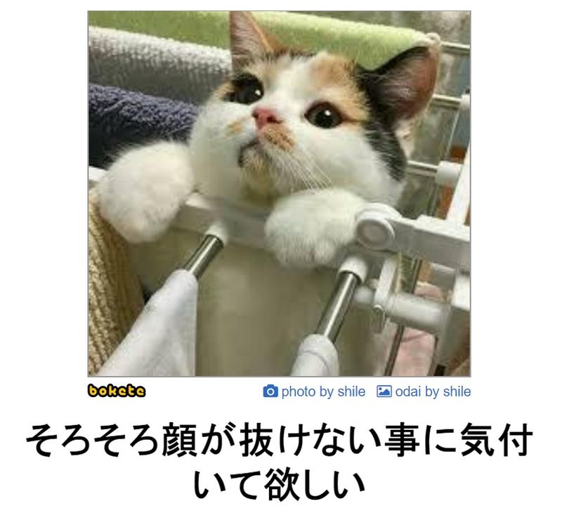 f:id:eternalcollegest:20190906201518j:plain