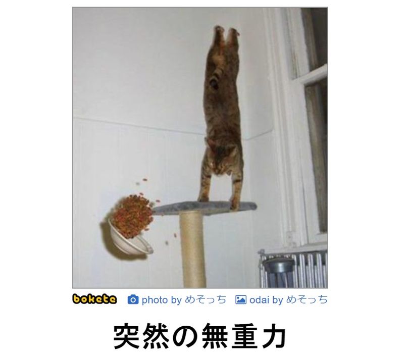 f:id:eternalcollegest:20190906201829j:plain