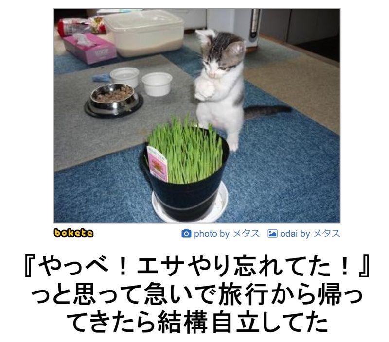 f:id:eternalcollegest:20190906201844j:plain