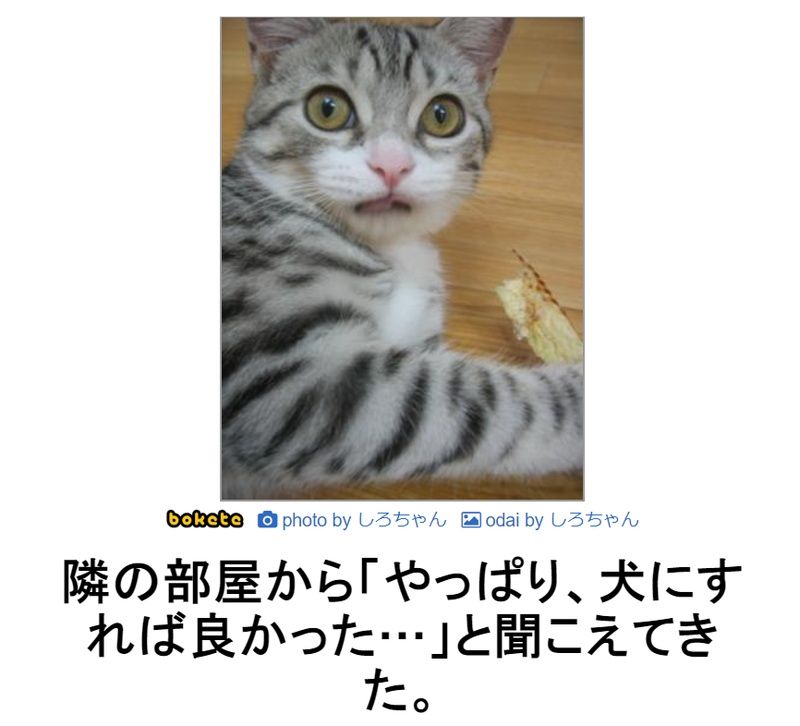 f:id:eternalcollegest:20190906202345j:plain