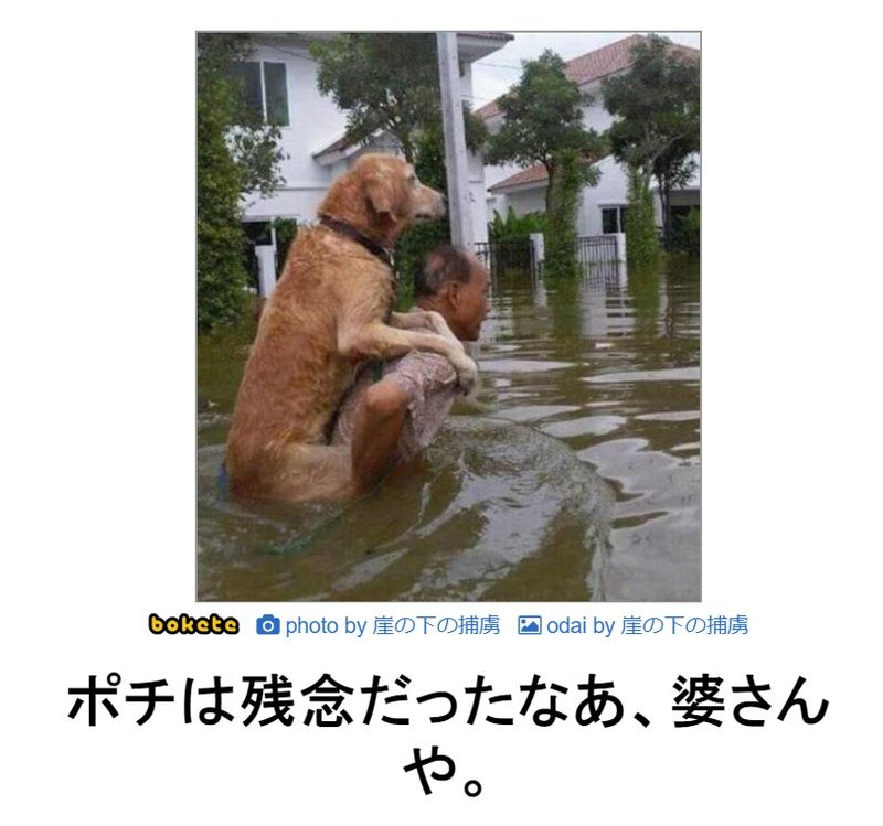 f:id:eternalcollegest:20190906215934j:plain