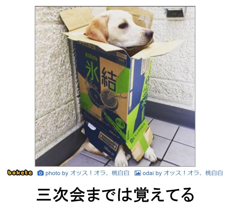 f:id:eternalcollegest:20190906220024j:plain