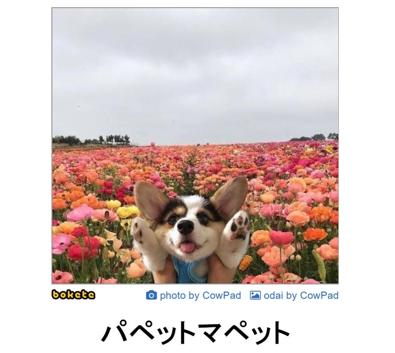 f:id:eternalcollegest:20190906220043j:plain