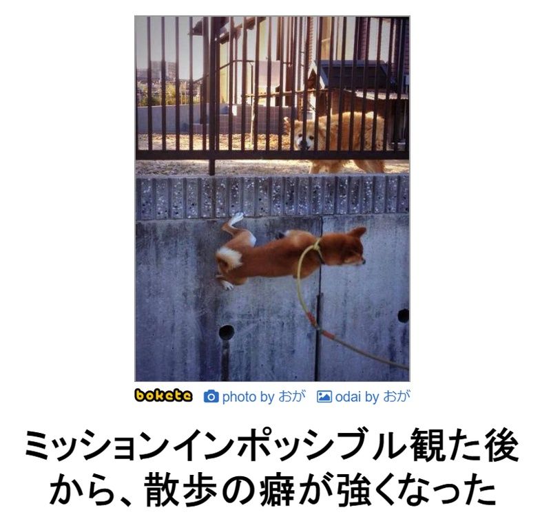 f:id:eternalcollegest:20190906220058j:plain