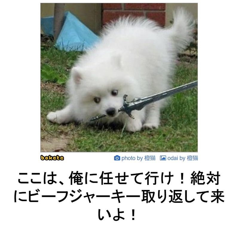 f:id:eternalcollegest:20190906220130j:plain