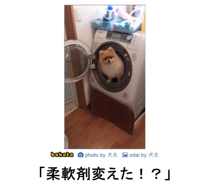 f:id:eternalcollegest:20190906220145j:plain