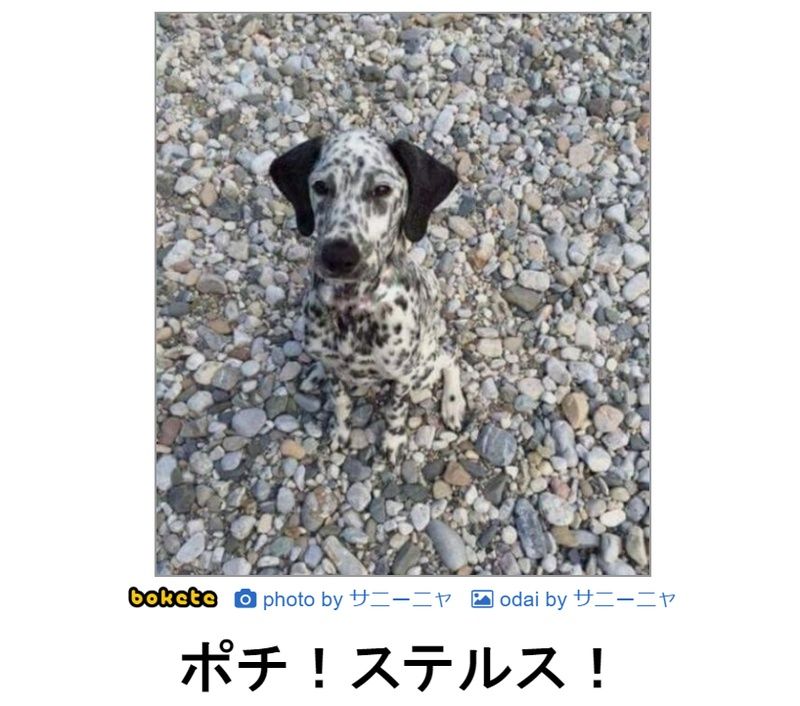 f:id:eternalcollegest:20190906220218j:plain