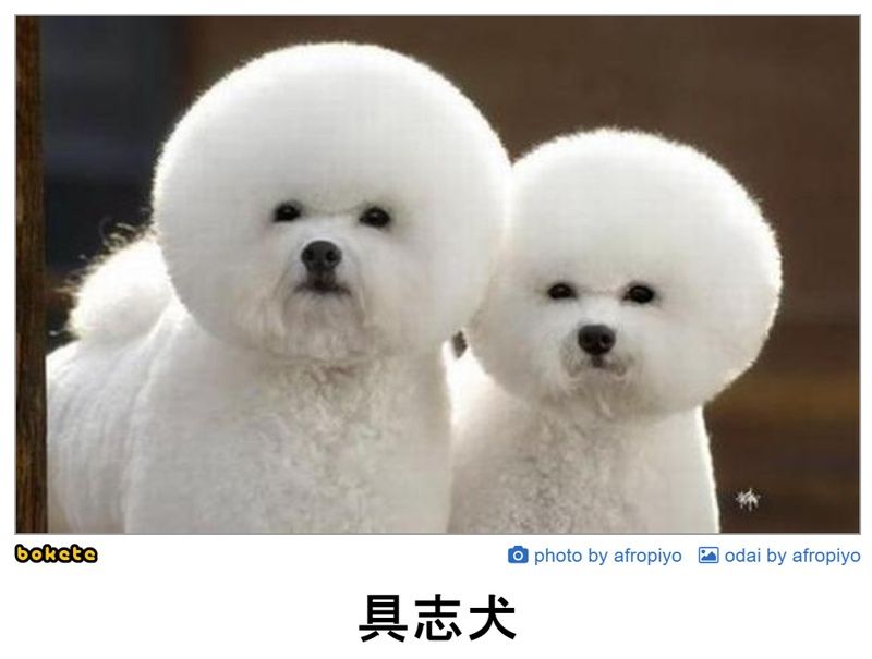 f:id:eternalcollegest:20190906220242j:plain