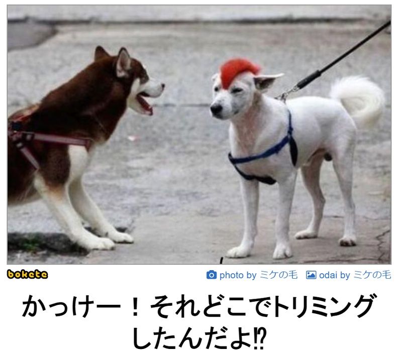 f:id:eternalcollegest:20190906220252j:plain