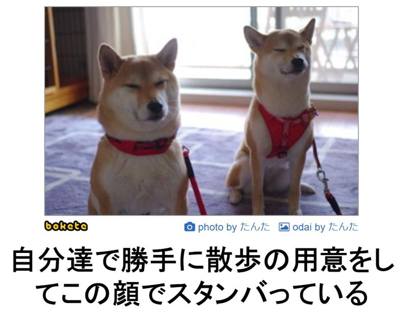 f:id:eternalcollegest:20190906220350j:plain