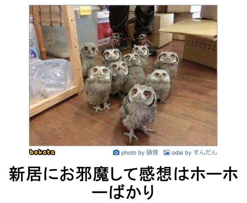 f:id:eternalcollegest:20190906220835j:plain