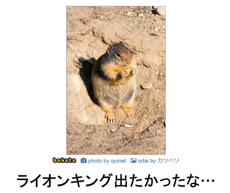 f:id:eternalcollegest:20190906222243j:plain