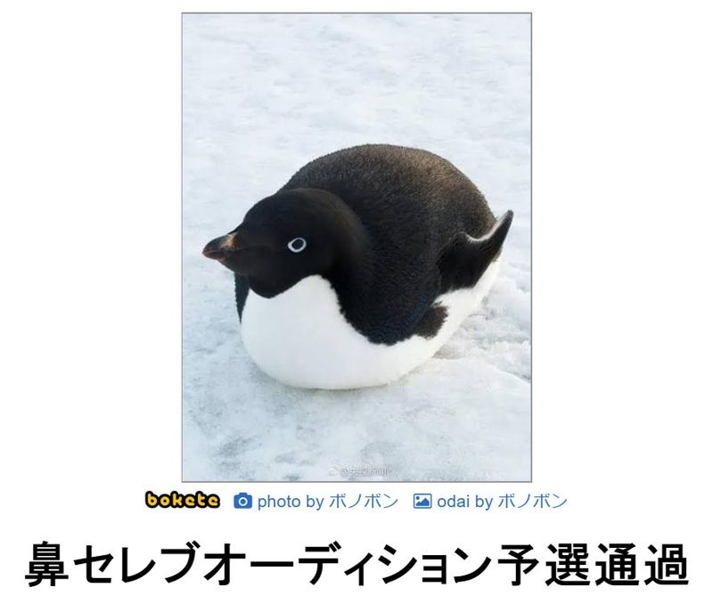 f:id:eternalcollegest:20190906222345j:plain