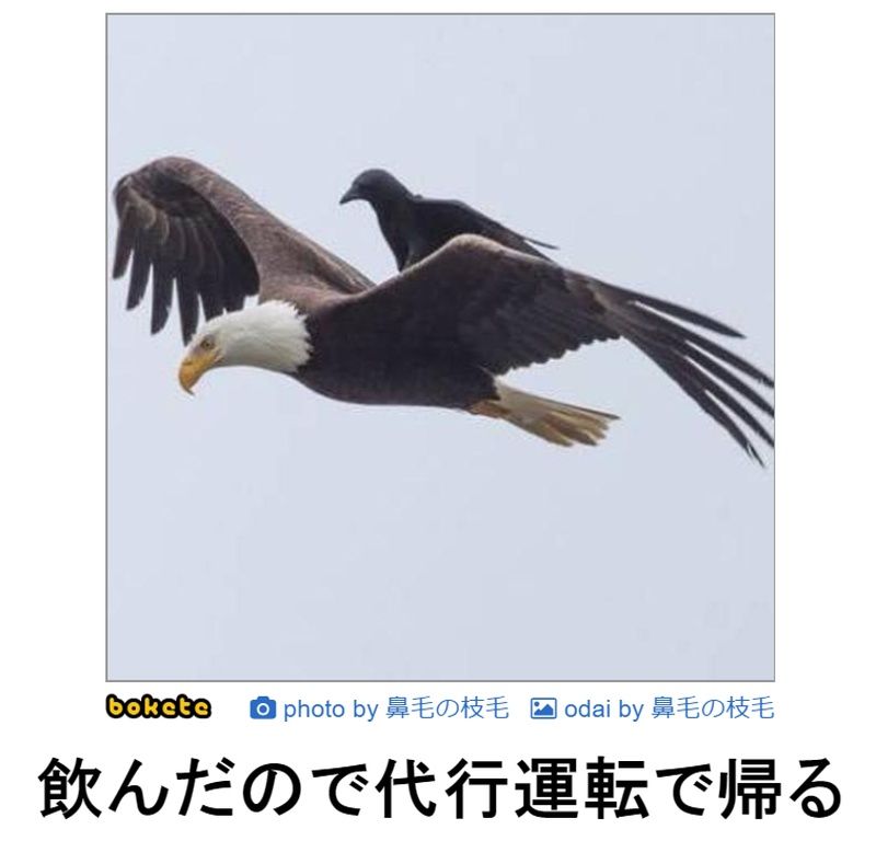 f:id:eternalcollegest:20190916205812j:plain