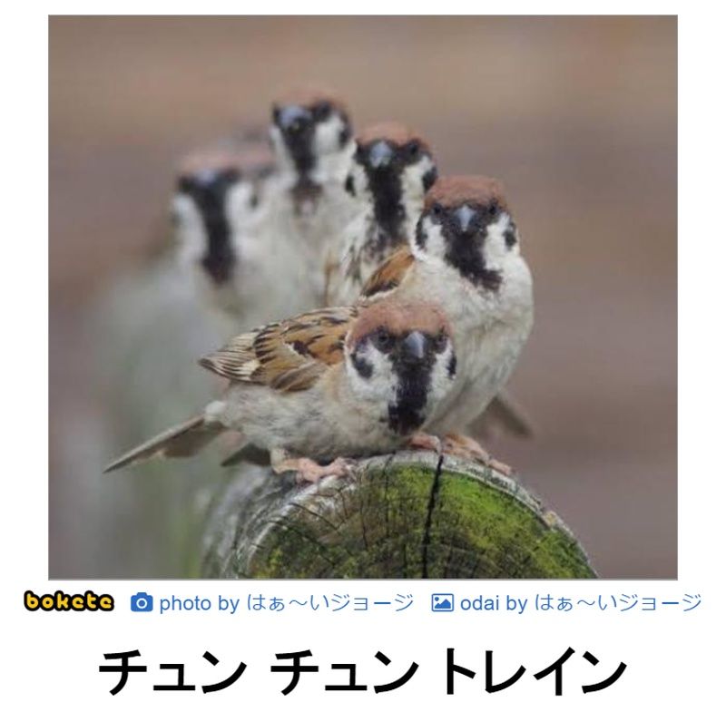 f:id:eternalcollegest:20190916205824j:plain