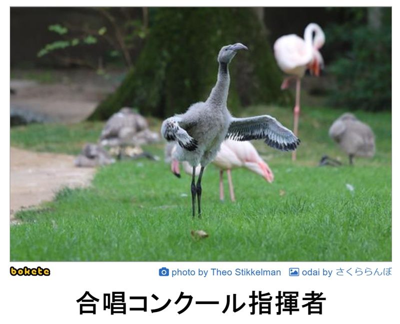 f:id:eternalcollegest:20190916205848j:plain