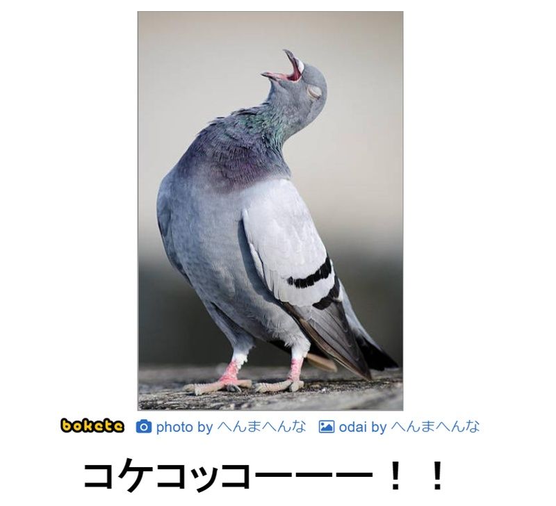 f:id:eternalcollegest:20190916205858j:plain