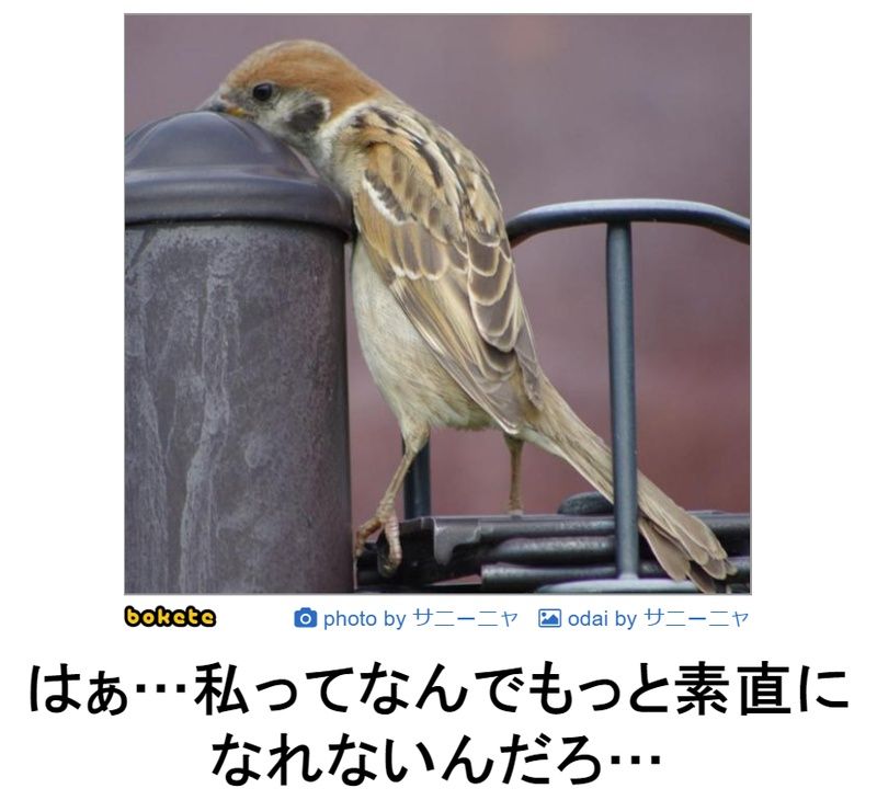 f:id:eternalcollegest:20190916210010j:plain