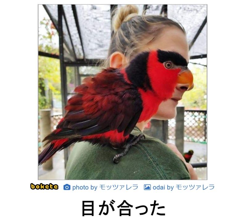 f:id:eternalcollegest:20190916210111j:plain