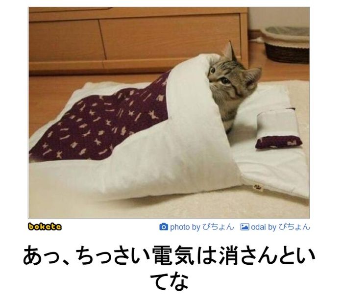 f:id:eternalcollegest:20200306160531j:plain