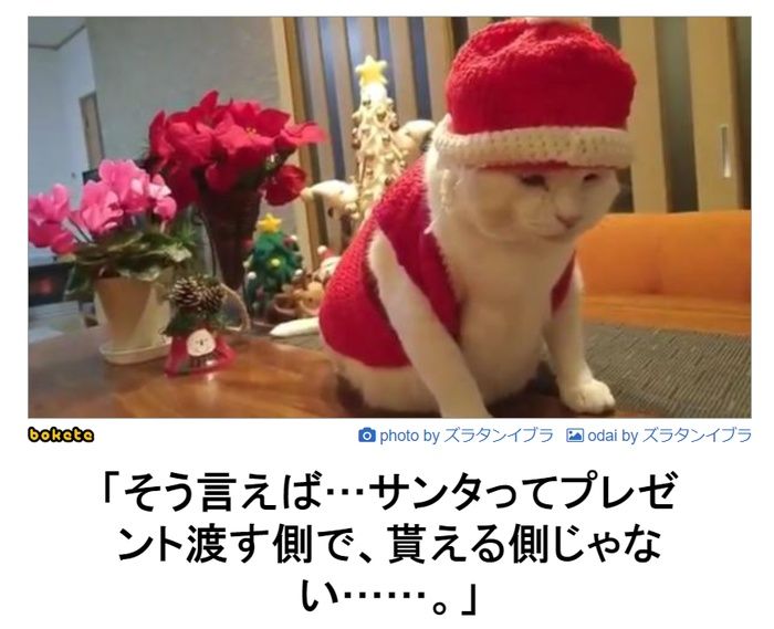 f:id:eternalcollegest:20200306160701j:plain