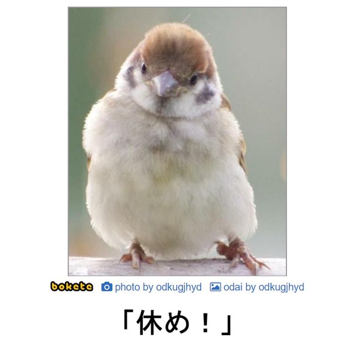 f:id:eternalcollegest:20200306161740j:plain