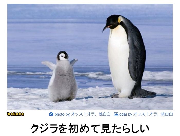 f:id:eternalcollegest:20200306163105j:plain