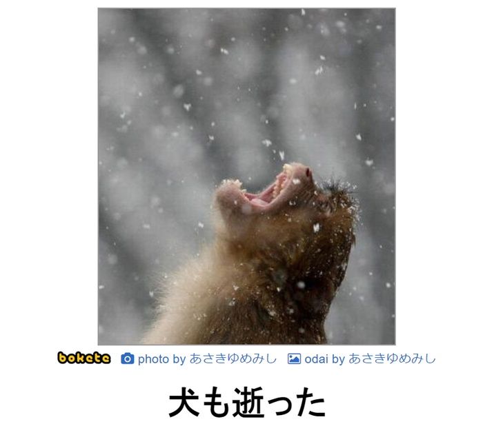 f:id:eternalcollegest:20200316162950j:plain